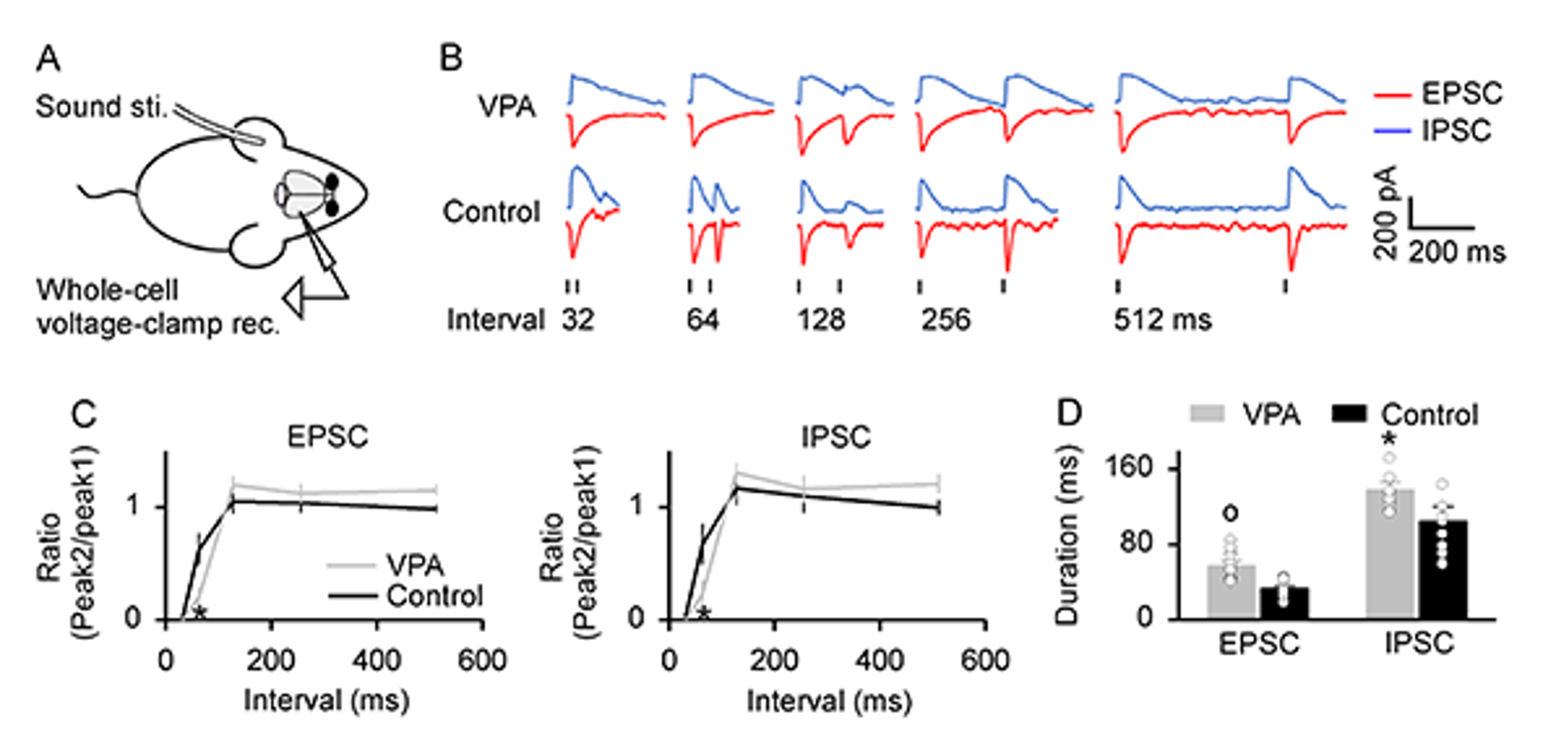 中心成员周晓明教授课题组揭示自闭症听觉异常的大脑皮层