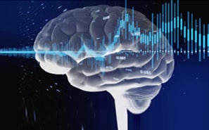 SLANG (Speech, Language and Neuroscience Group)