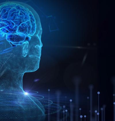 金鑫教授团队揭示动作重复与切换背后的神经机制，为自闭症和强迫症等疾病的治疗带来新希望