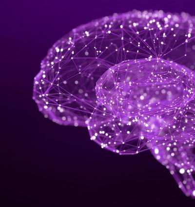 Research Unveils a New Mechanism by Which the Brain Measures Time