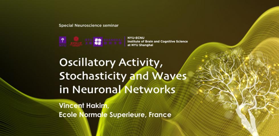 Oscillatory Activity, Stochasticity and Waves in Neuronal Networks