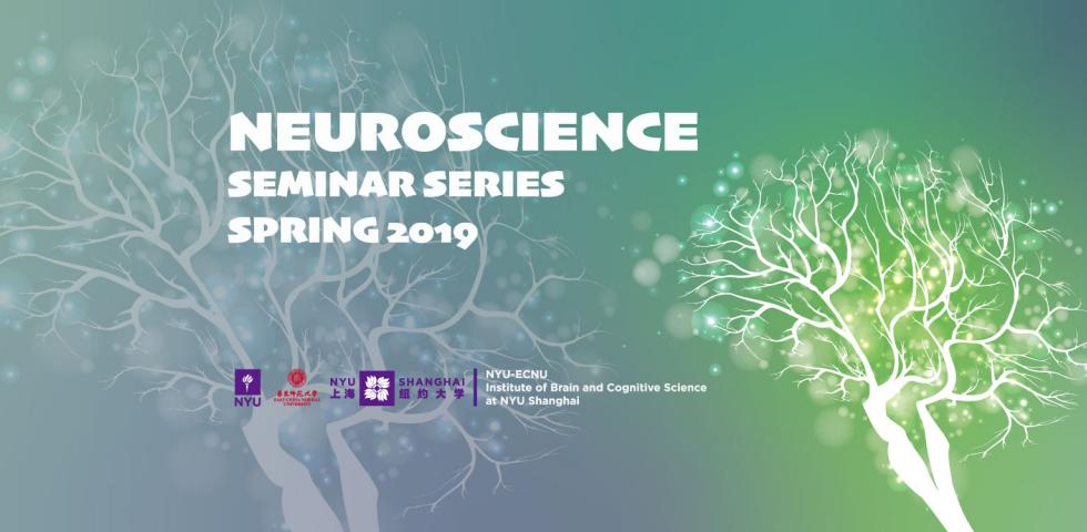 Neuroscience Seminar Series Spring 2019