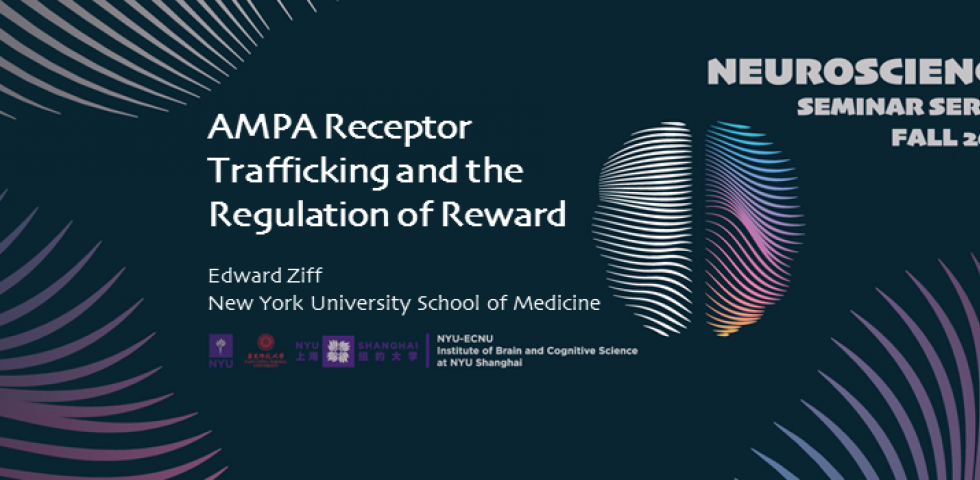 AMPA Receptor Trafficking and the Regulation of Reward