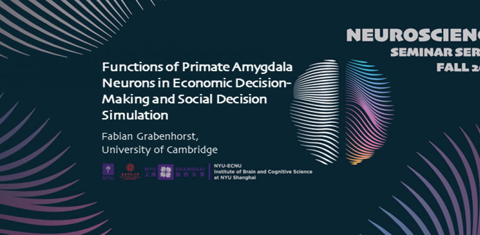 Functions of Primate Amygdala Neurons in Economic Decision-Making and Social Decision Simulation