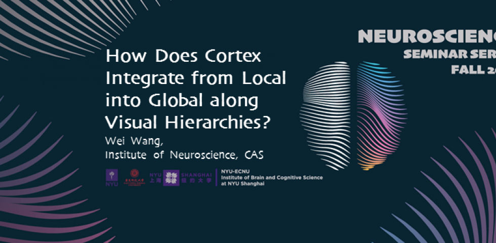 How Does Cortex Integrate from Local into Global along Visual Hierarchies?