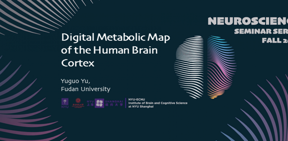 Digital Metabolic Map of the Human Brain Cortex