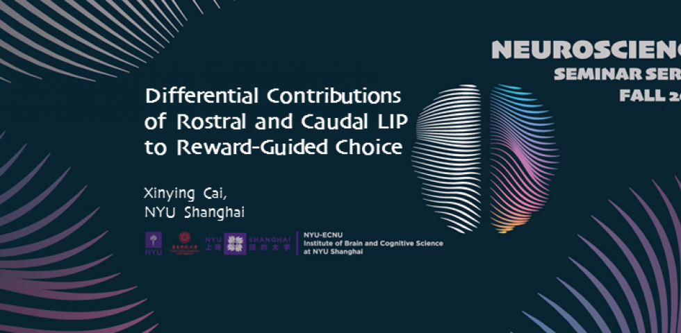 Differential Contributions of Rostral and Caudal LIP to Reward-Guided Choice