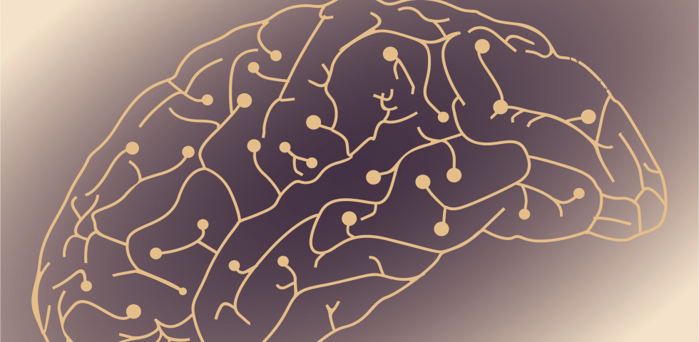 Late Involvement of Area PIVC in Heading Perception Based on Vestibular Signals: A Comparison to Area MSTd and VIP
