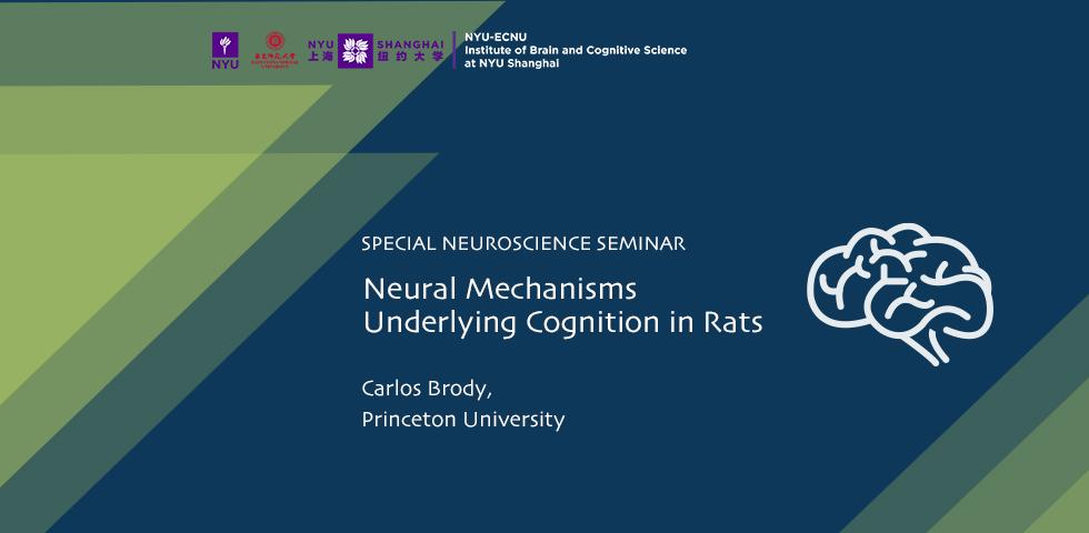 Neural Mechanisms Underlying Cognition in Rats