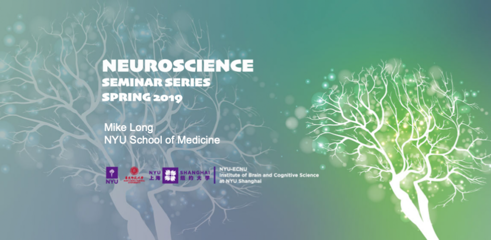 Neural Mechanisms of Social Communication