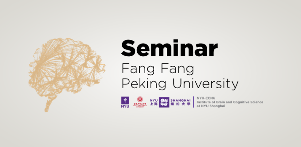 Perceptual Learning and Neural Plasticity in Adult Human Brain