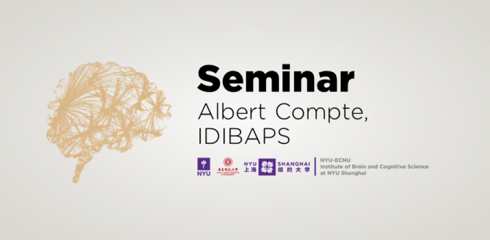 Mechanisms of Spatial Working Memory in the Prefrontal Cortex