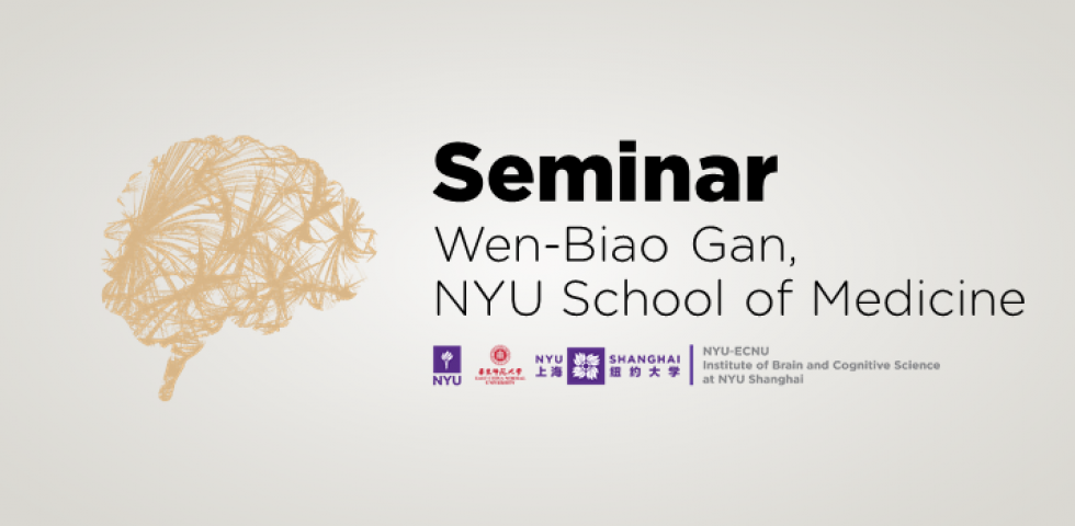 Learning and Sleep-dependent Dendritic Spine Plasticity and Maintenance