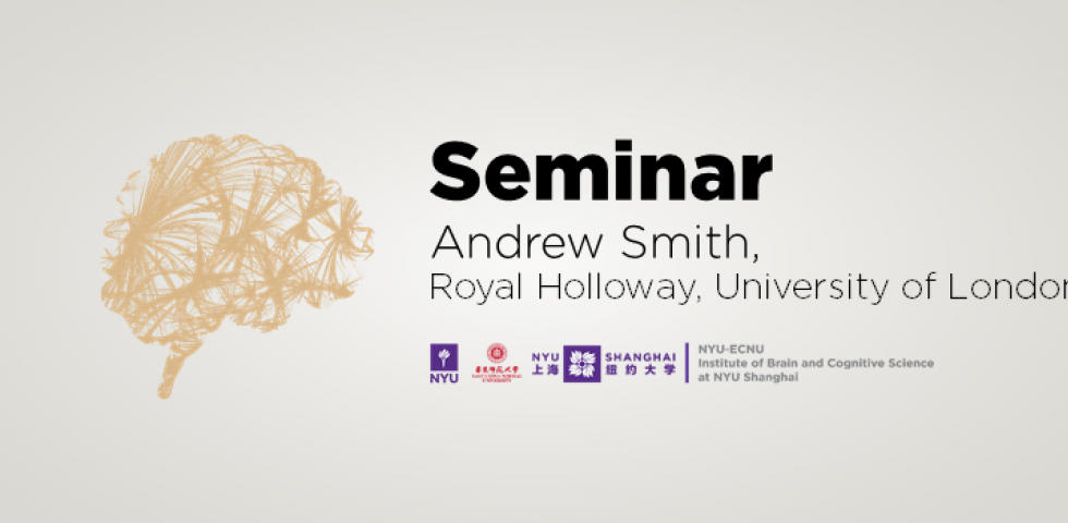 The cingulate sulcus visual area (CSv): A sensorimotor interface for locomotion?