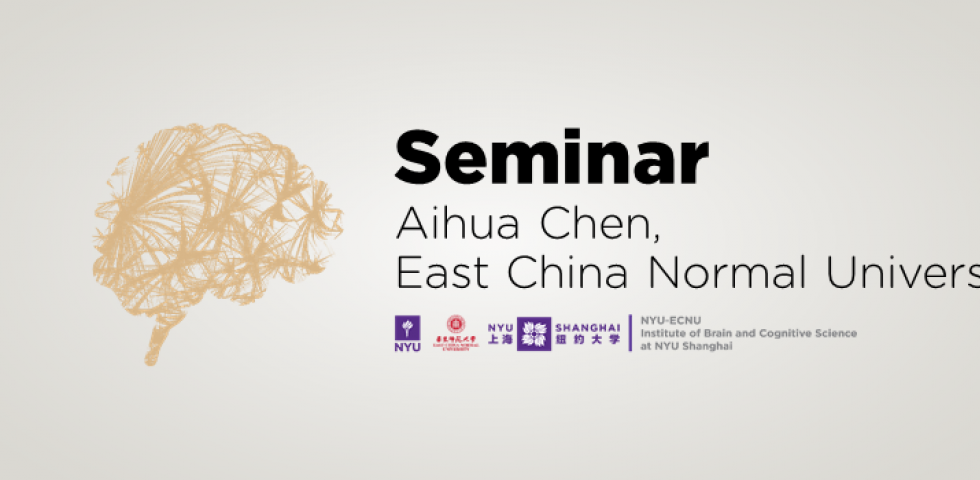 3D surface orientation perception in the superior temporal poly-sensory area (STP)