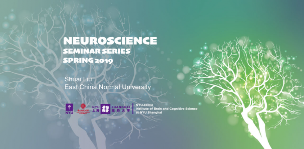 Mesolimbic Dopamine in Food Reward and Stress