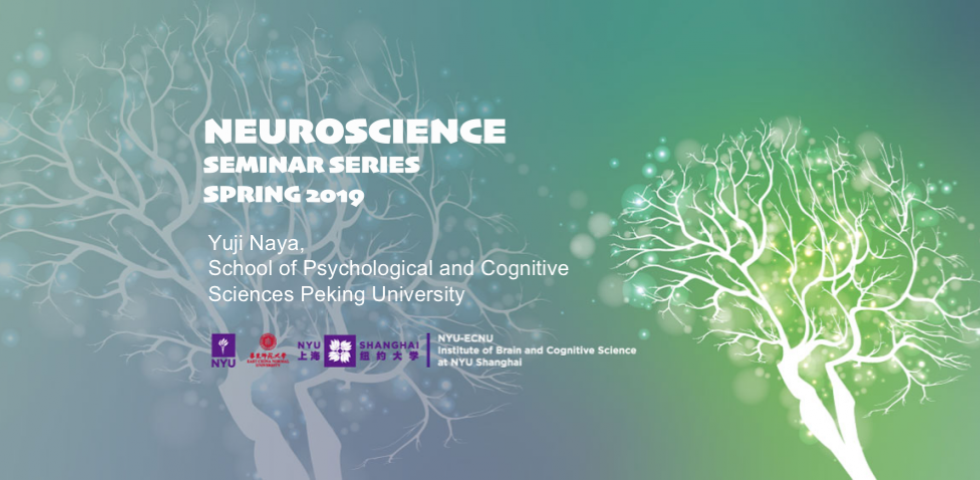Spatial Representations of the Primate Declarative-Memory System