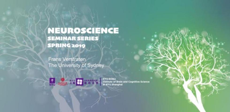 The Observer as an Information Integrator