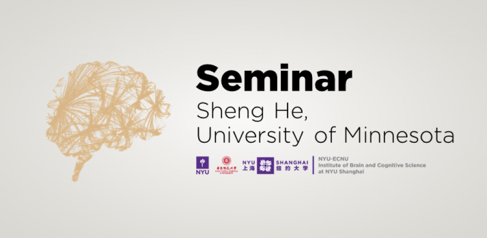 Studying human vision using invisible images