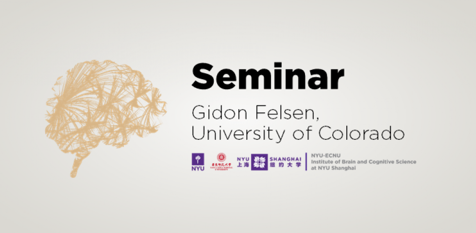 Midbrain circuits for decision making