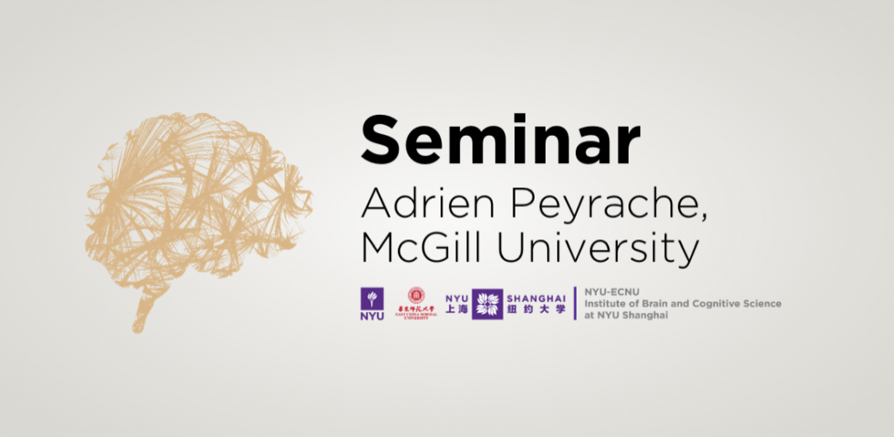 A compass in the brain: neuronal mechanisms of spatial orientation