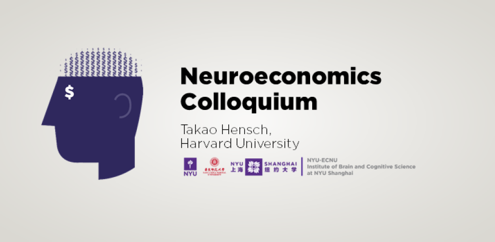 Balancing Brain Plasticity/Stability across the Lifespan