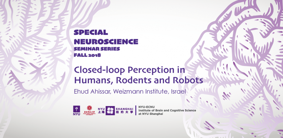 Closed-loop Perception in Humans, Rodents and Robots
