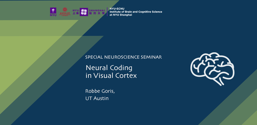 Neural Coding in Visual Cortex 