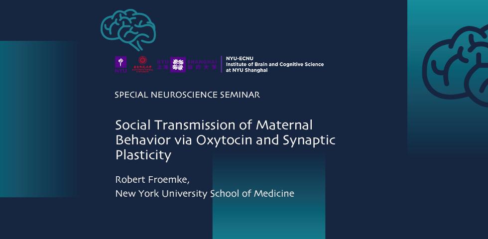 Social Transmission of Maternal Behavior via Oxytocin and Synaptic Plasticity