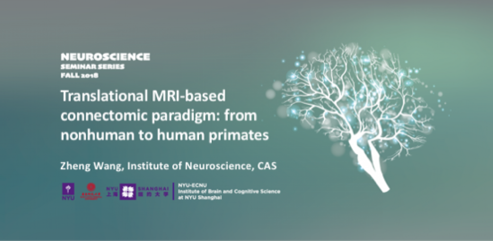 Translational MRI-based connectomic paradigm: from nonhuman to human primates