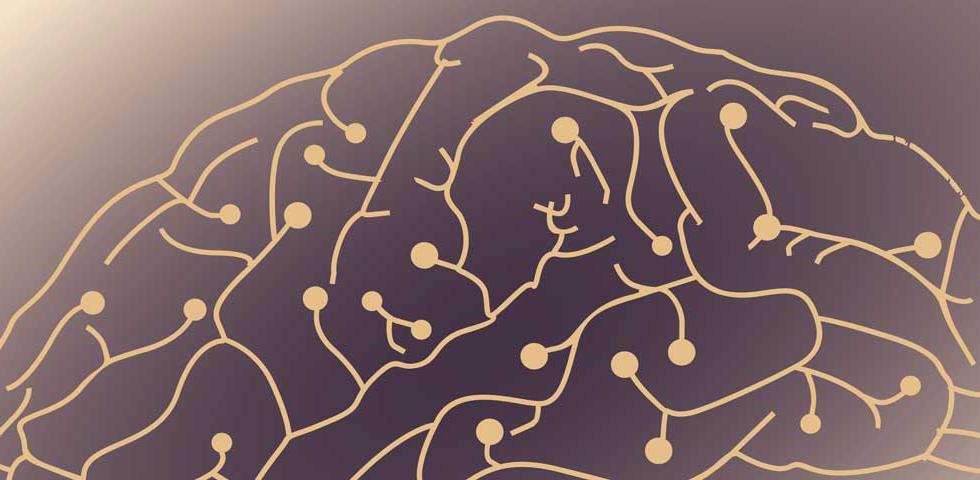 Seminar - Neural Circuits Underlying Visual Attention