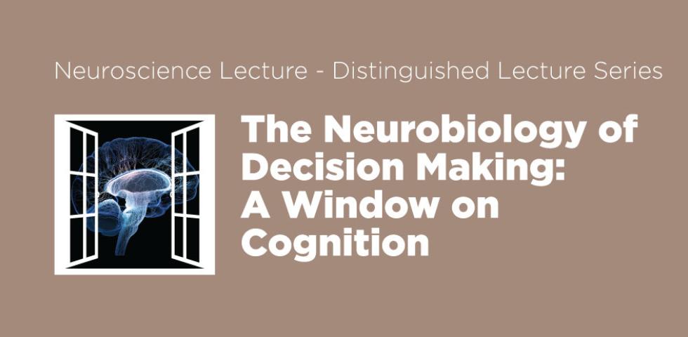 The Neurobiology of Decision Making: A Window on Cognition