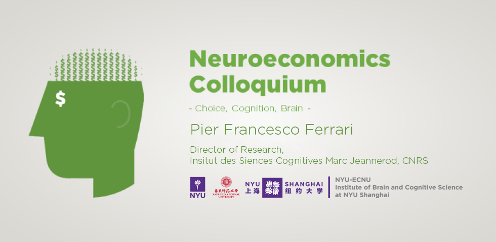 Neurobiology and development of the empathic brain