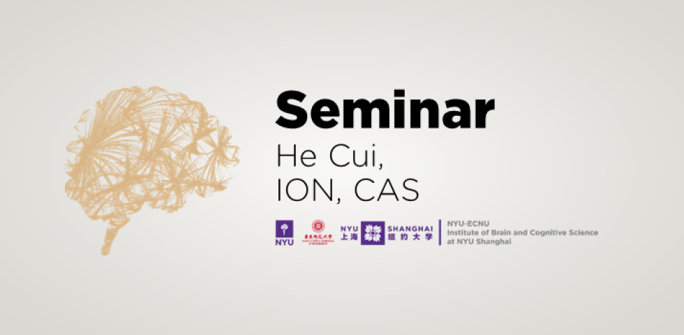 Decipher Sensorimotor Codes in Primate Parietal Cortex