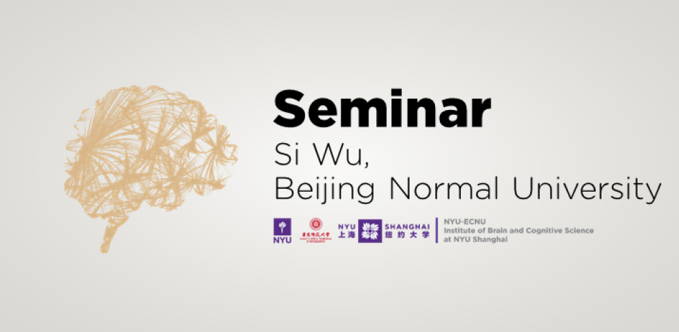 Dynamical Aspects of Visual Information Processing