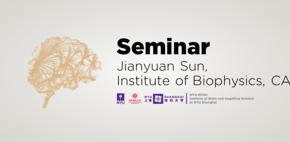 Revisiting Katz's Quantal Release Theory by Observing Synaptic Transmission at Single Synapse