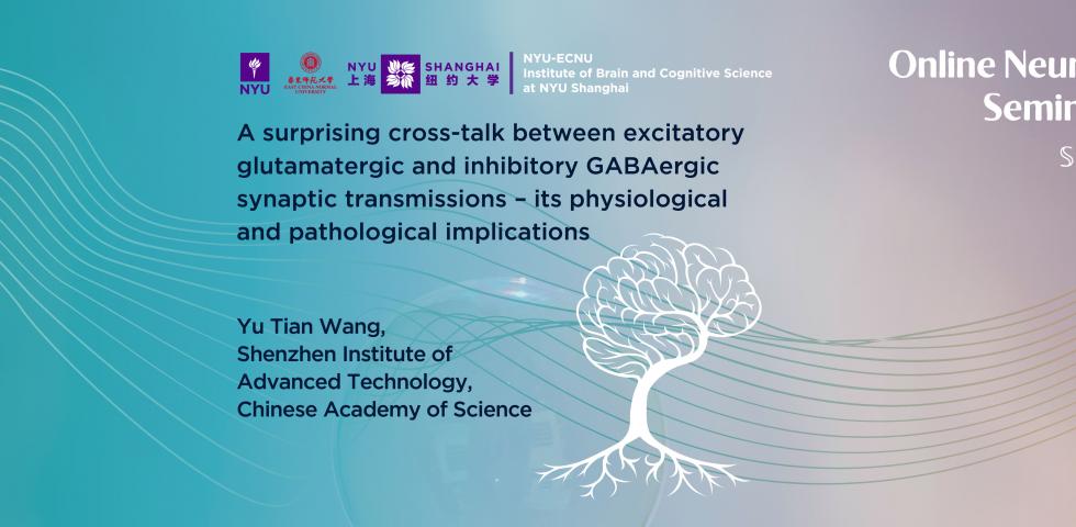 A surprising cross-talk between excitatory glutamatergic and inhibitory GABAergic synaptic transmissions – its physiological and pathological implications