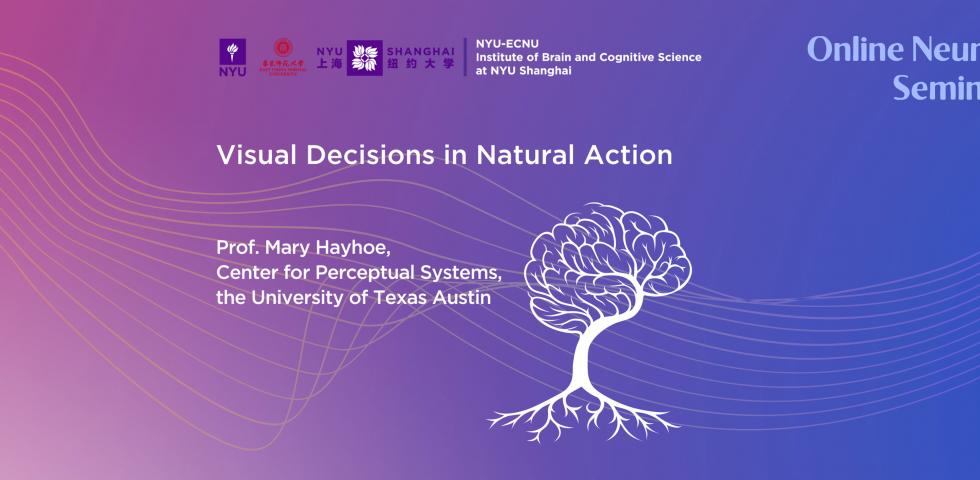 Visual Decisions in Natural Action