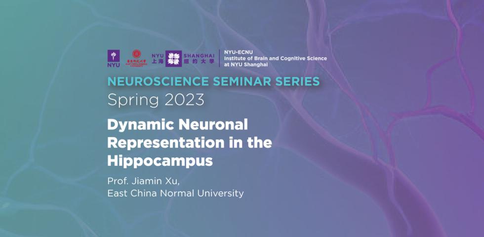 Dynamic neuronal representation in the hippocampus