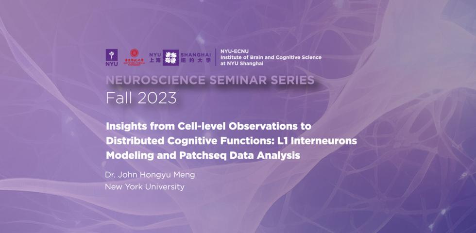 Insights from cell-level observations to distributed cognitive functions: L1 interneurons modeling and Patchseq data analysis