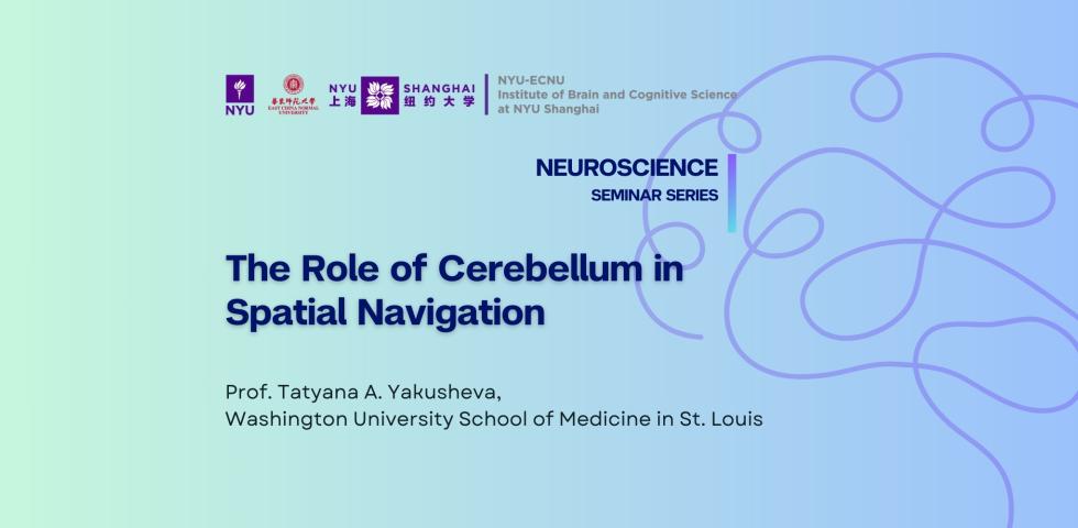 The Role of Cerebellum in Spatial Navigation