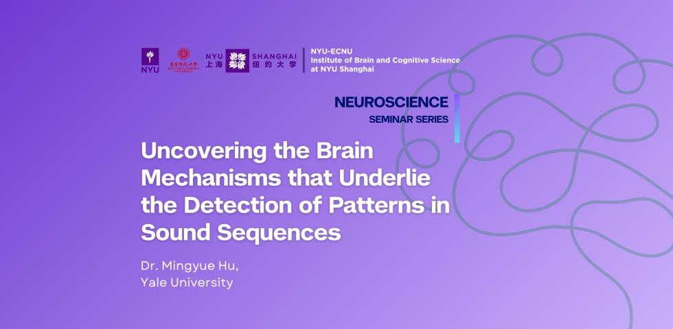 Uncovering the Brain Mechanisms that Underlie the Detection of Patterns in Sound Sequences