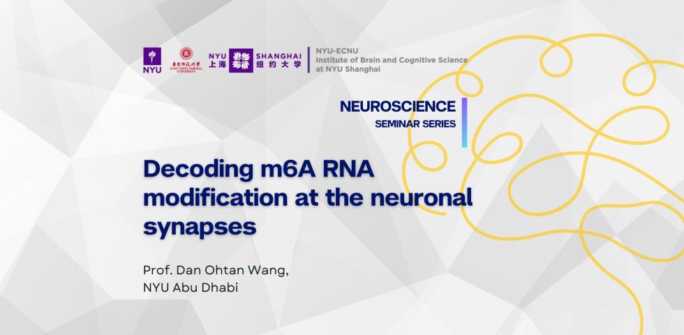 Decoding m6A RNA modification at the neuronal synapses