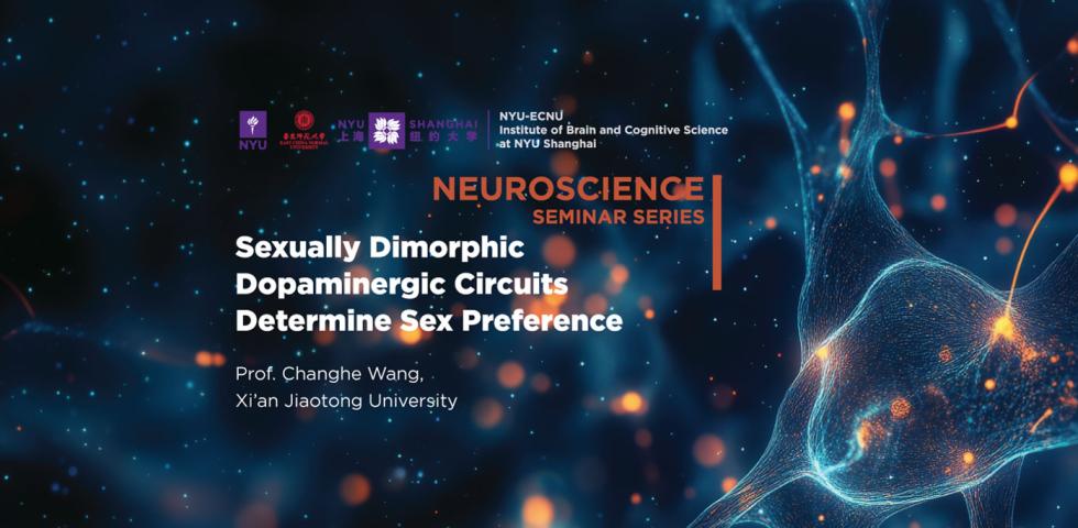 Sexually dimorphic dopaminergic circuits determine sex preference