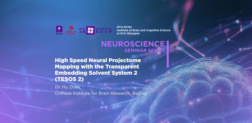 High speed neural projectome mapping with the Transparent Embedding Solvent System 2 (TESOS 2)