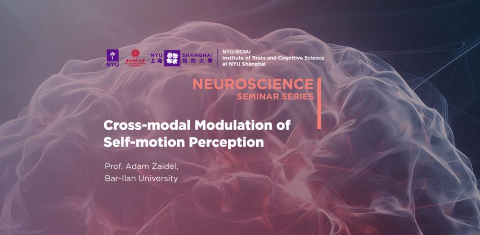 Cross-modal modulation of self-motion perception
