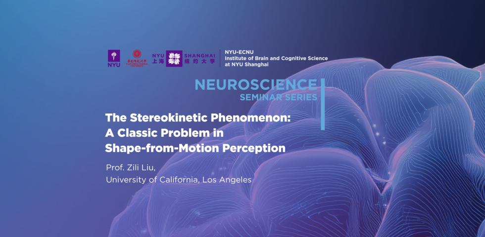 The Stereokinetic Phenomenon: A Classic Problem in Shape-from-Motion Perception