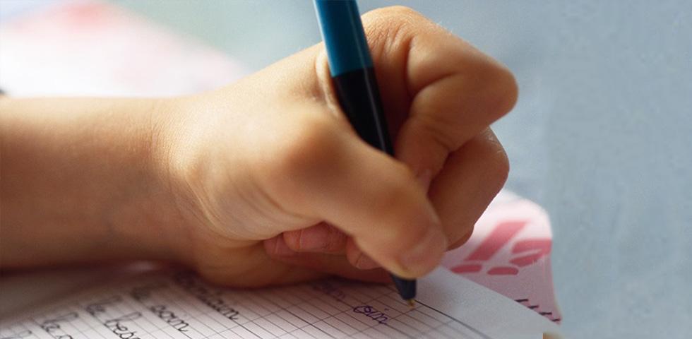 Are the left-handed brains really different? Professor Cai Qing and her team published on Cerebral Cortex