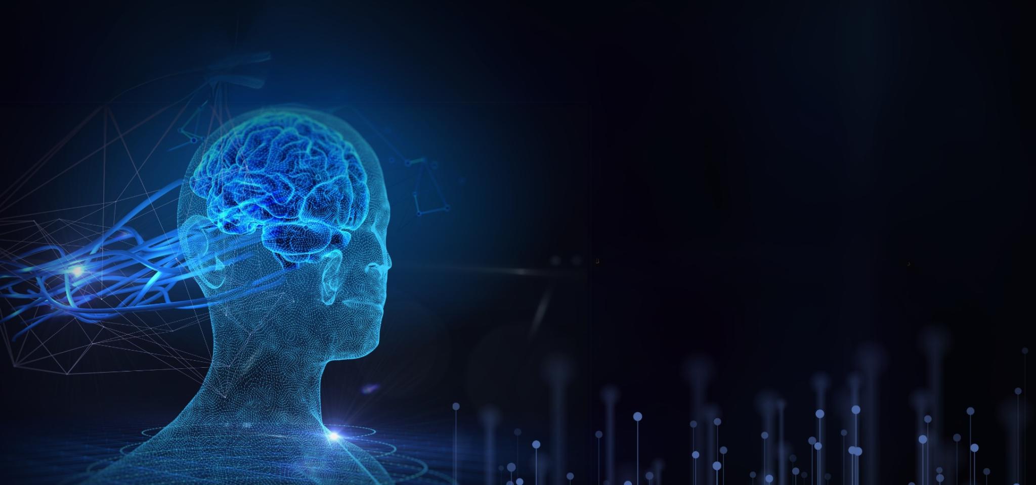 Prof. Xin Jin’s Team Uncover Neural Mechanisms Behind Action Repetition and Switching — Offering New Hope for Autism and OCD Treatment