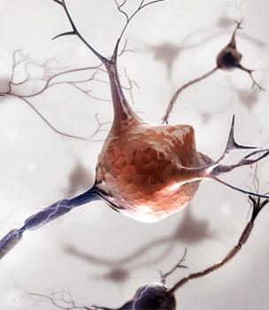 Education and Training